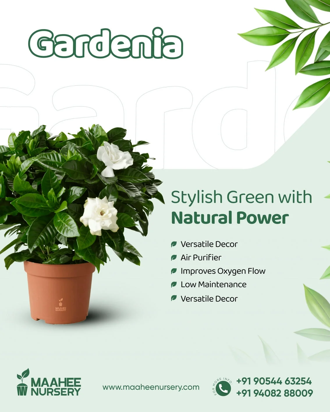 Maahee Nursery Ad Creative 4